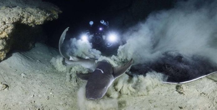 Gabriel Barathier, Mayotte, grotte,