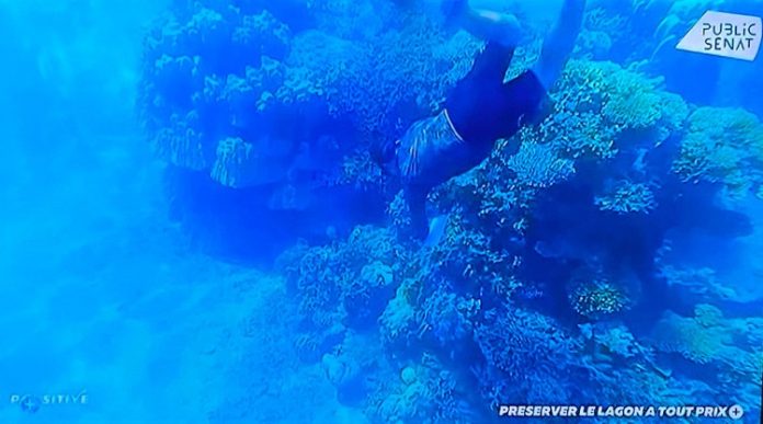 Public-Sénat, Mayotte, Future Maore Reefs, IRD