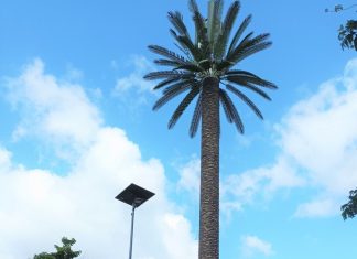 A Mtsangamouji, une antenne-palmier pour être mieux connecté Orange, téléphonie, Mayotte