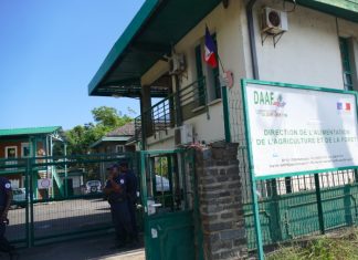 La DAAF de Mayotte lance trois appels à projets DAAF, Mayotte, agriculture, environnement