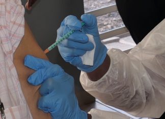 Obligation de vaccin pour voyager : un collectif mahorais s’oppose en vertu de la liberté de circulation Vaccin, Parlement européen, Mayotte
