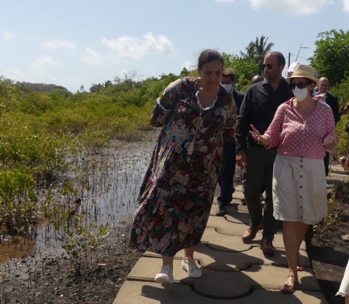 Recherche, Frédérique Vidal, Mayotte