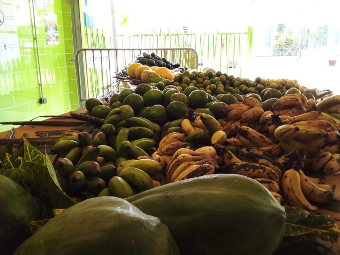 Jeunes agriculteurs, Mayotte