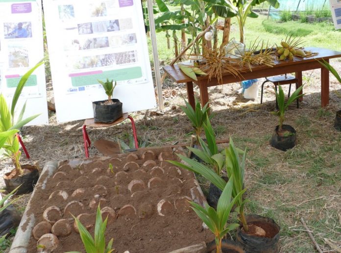 Carenco, Fesneau, agriculture, Outre-mer, Mayotte