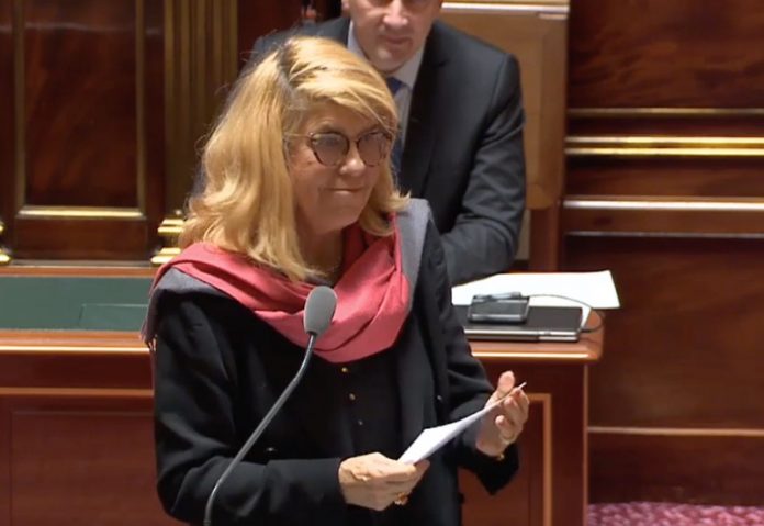 Sénat, Dominique Faure, Thani MOhamed Soilihi, Mayotte