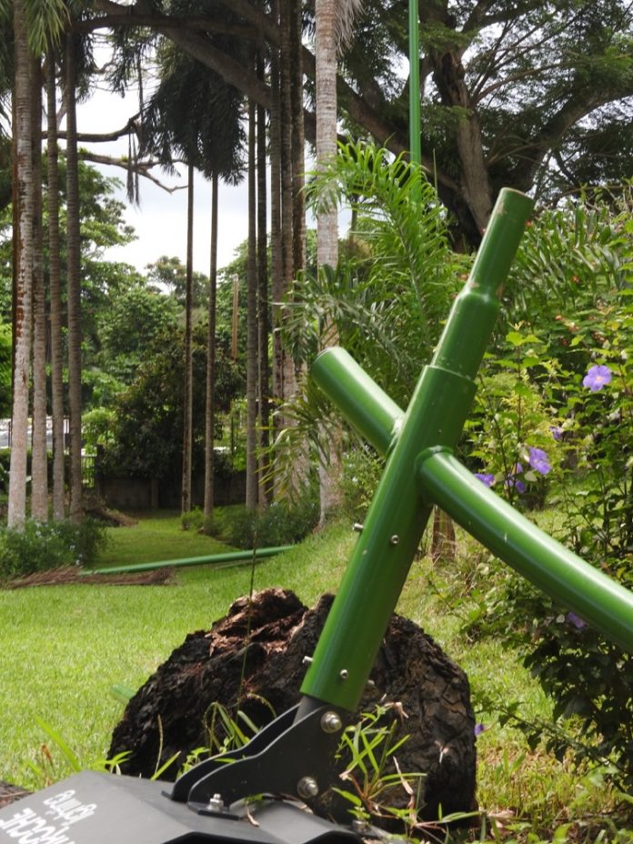 Parc botanique, Mayotte