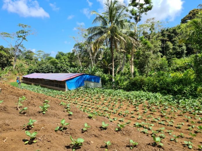 EPFAM, Mayotte