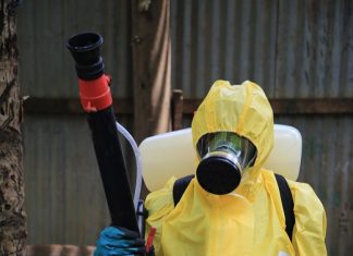 ARS – L’épidémie de dengue s’accélère