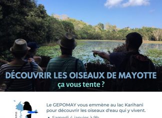 Vos sorties du week-end