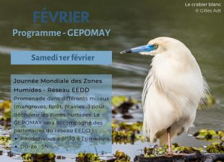 Vos sorties du week-end