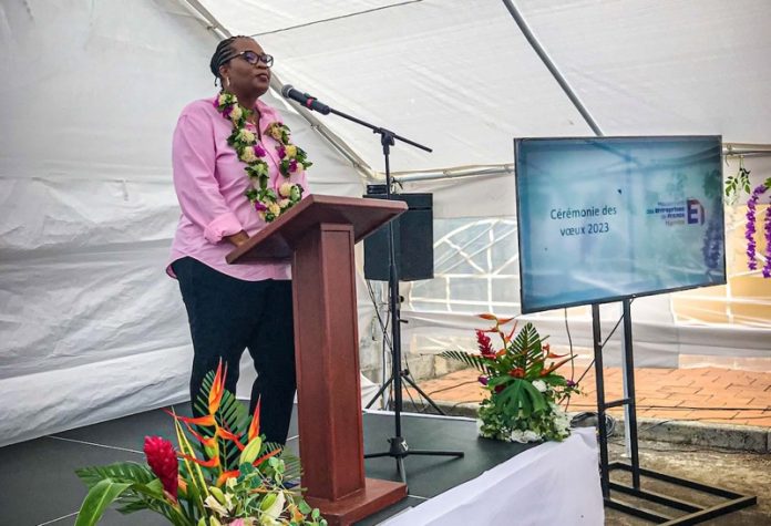 Medef, Mayotte