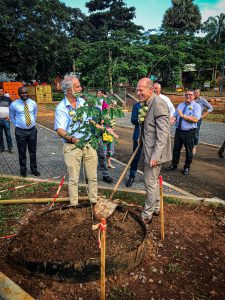 Deux hommes viennent de planter ensemble un jeune arbre