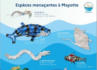 A travers un projet pédagogique, le Parc marin veut cibler l’origine des microplastiques Parc naturel Marin, Mayotte, microplastique