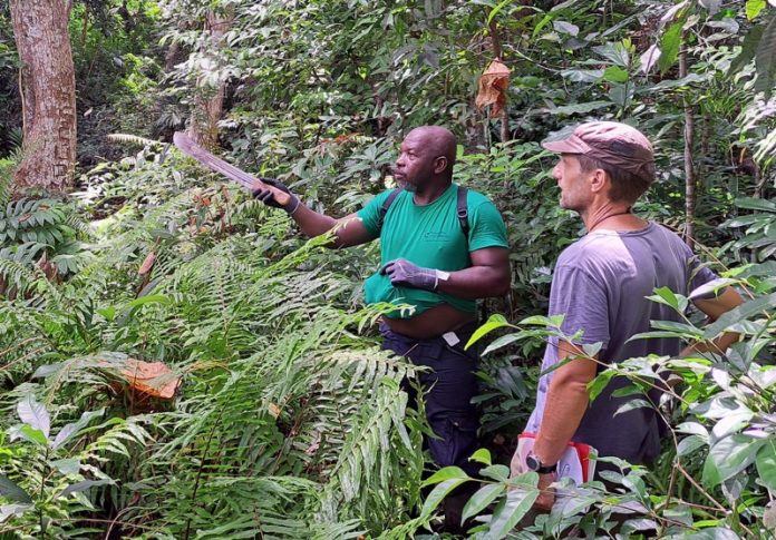 AB, agriculture biologique, Mayotte, EPFAM