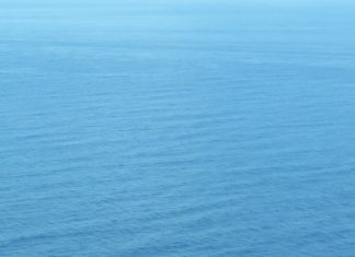 Un traité « historique » de protection de la haute-mer signé à l’ONU ONU, haute-mer
