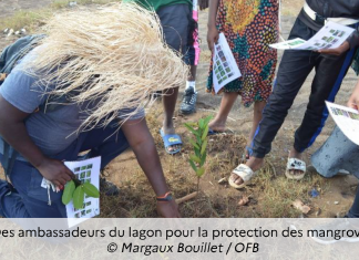 Le parc naturel marin lance la 5e édition de son appel à projets « les ambassadeurs du lagon dans les villages »