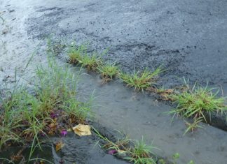 Après le déluge de mercredi, où en est la ressource en eau ? Mayotte, pluies, Les Eaux de Mayotte, SMAE