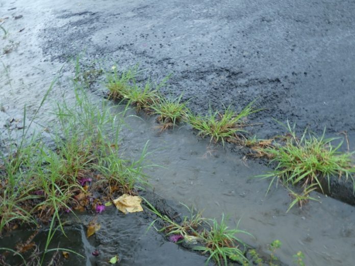 Mayotte, pluies, Les Eaux de Mayotte, SMAE