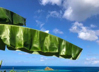 Un regard sur Mayotte