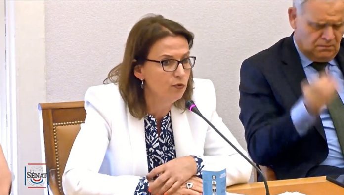 Défenseur des droits, Commission des lois, Sénat, Claire Hédon, Thani MOhamed, Mayotte