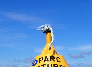 Appel à projet « Ambassadeur lagon » 2024-2025 Parc Naturel Marin, Mayotte