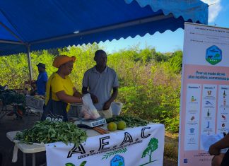 1ère édition de la Journée Bien Manger Bouger à Mayotte