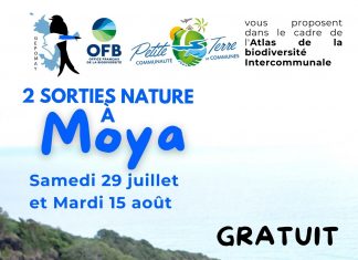 Biodiversité : Sortie découverte avec l’association Gepomay