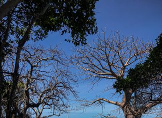 Un regard sur Mayotte