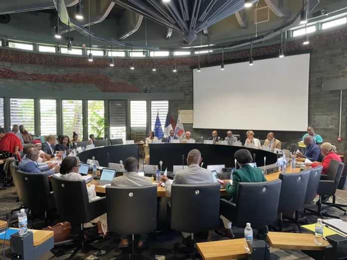 Conseil départemental, Mayotte